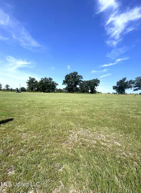 10 Ac Roy Fairley Rd, Lucedale, MS 39452 photo 2