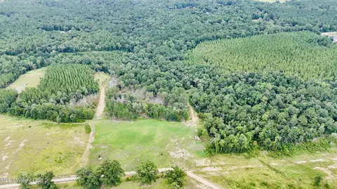 10 Ac Roy Fairley Rd, Lucedale, MS 39452 photo 9