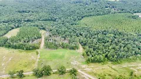 10 Ac Roy Fairley Rd, Lucedale, MS 39452 photo 11