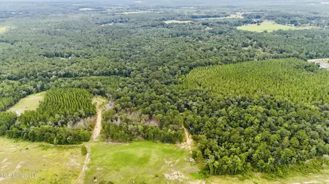 10 Ac Roy Fairley Rd, Lucedale, MS 39452 photo 12