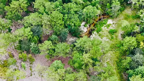 10 Ac Roy Fairley Rd, Lucedale, MS 39452 photo 8