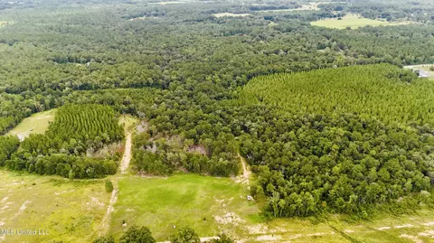 10 Ac Roy Fairley Rd, Lucedale, MS 39452 photo 15