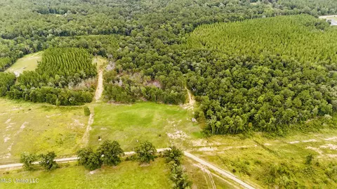 10 Ac Roy Fairley Rd, Lucedale, MS 39452 photo 14