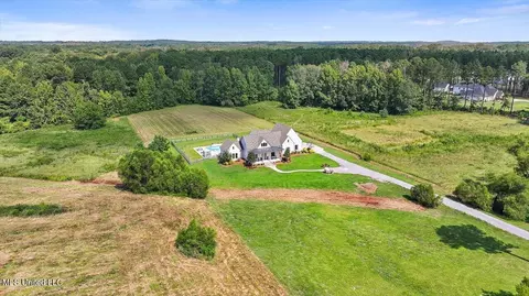 View/Area - 543 Clark Stables Rd, Brandon, MS 39047 photo 2 of 12