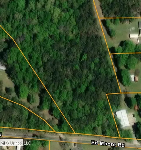 00 Ed Moore Rd, Picayune, MS 39466