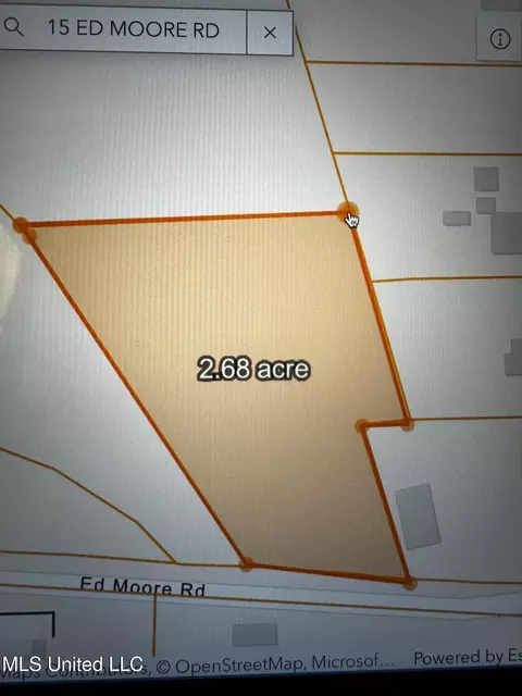 00 Ed Moore Rd, Picayune, MS 39466 photo 3
