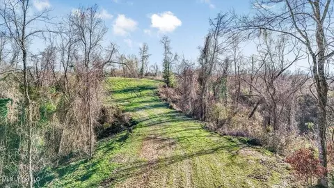 200 Robert Williams Rd, Lorman, MS 39096 photo 27