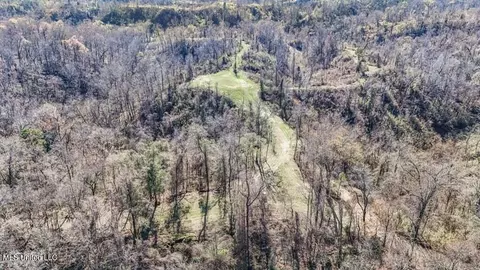 200 Robert Williams Rd, Lorman, MS 39096 photo 21