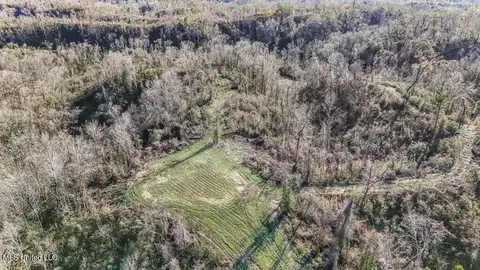 200 Robert Williams Rd, Lorman, MS 39096 photo 25