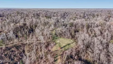 200 Robert Williams Rd, Lorman, MS 39096 photo 30