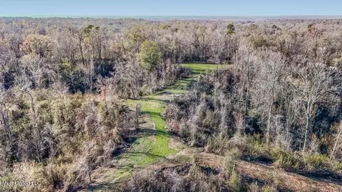 200 Robert Williams Rd, Lorman, MS 39096 photo 31