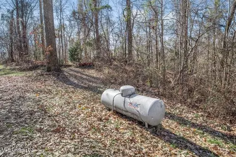 200 Robert Williams Rd, Lorman, MS 39096 photo 14
