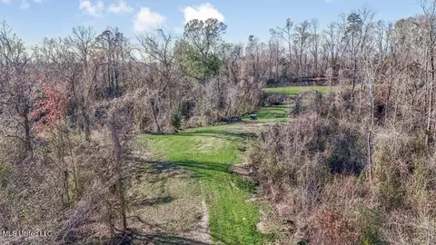 200 Robert Williams Rd, Lorman, MS 39096 photo 15