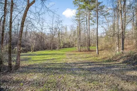 200 Robert Williams Rd, Lorman, MS 39096