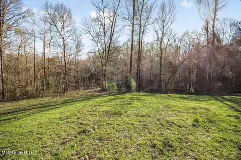 200 Robert Williams Rd, Lorman, MS 39096 photo 17
