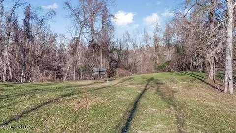 200 Robert Williams Rd, Lorman, MS 39096 photo 24