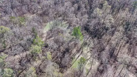 200 Robert Williams Rd, Lorman, MS 39096 photo 20