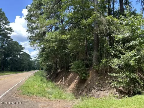 tbd Hwy 570river Road N And S, Summit, MS 39666 photo 9