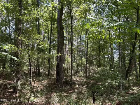 tbd Hwy 570river Road N And S, Summit, MS 39666 photo 6