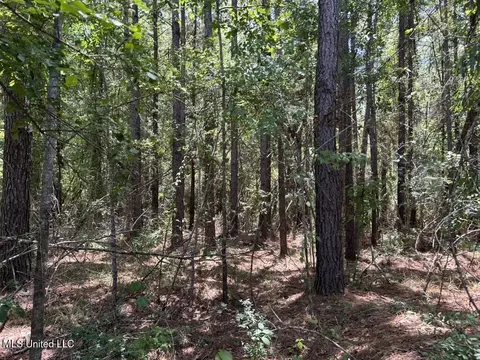 tbd Hwy 570river Road N And S, Summit, MS 39666 photo 5