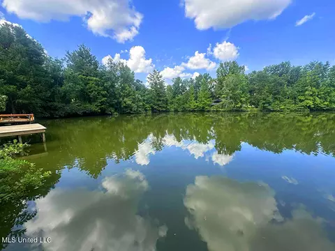 View/Area - 148 Mayhall Dr, Lucedale, MS 39452 photo 7 of 12
