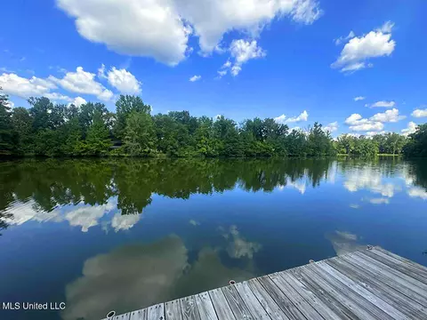 View/Area - 148 Mayhall Dr, Lucedale, MS 39452 photo 5 of 12
