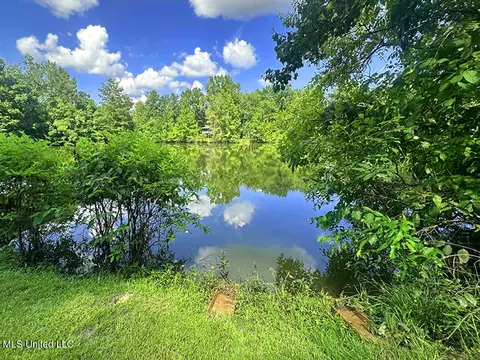 View/Area - 148 Mayhall Dr, Lucedale, MS 39452 photo 2 of 12