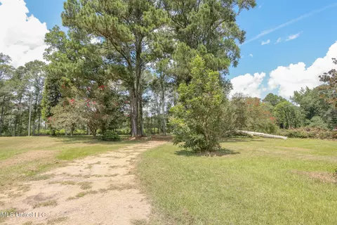 Exterior - 7825 Old Hillsboro Rd, Forest, MS 39074 photo 16 of 16