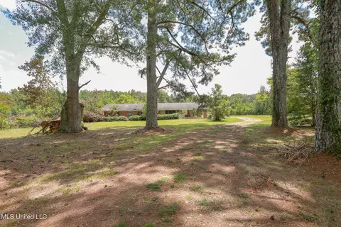 Exterior - 7825 Old Hillsboro Rd, Forest, MS 39074 photo 5 of 16