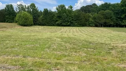 Hamilton Place, Brandon, MS 39047 photo 3