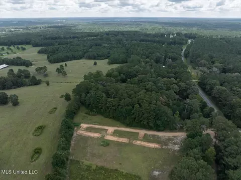 View/Area - 1075 River Ridge Rd, Summit, MS 39666 photo 3 of 3
