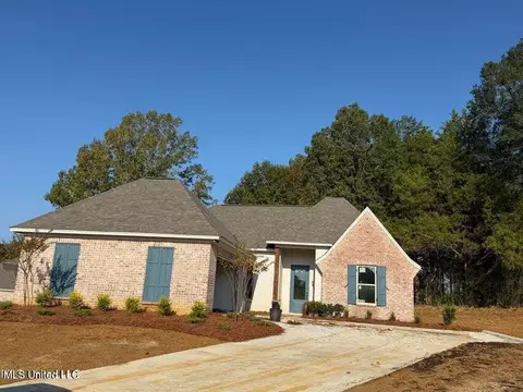 313 Jasmine Cove Ln, Brandon, MS 39042