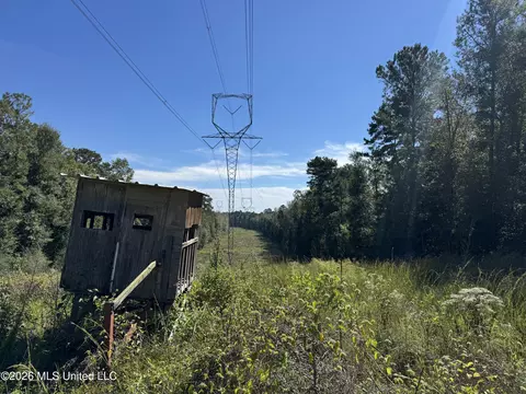 Belle Gardner Road, Amite, LA 70422