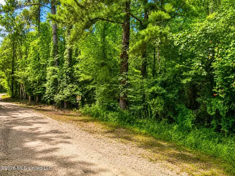 Belle Gardner Road, Amite, LA 70422