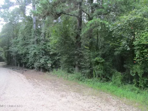 Belle Gardner Road, Amite, LA 70422