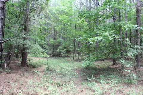 Hwy 550, Brookhaven, MS 39601