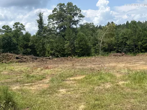 000 Robert Rhodes Rd, Poplarville, MS 39470