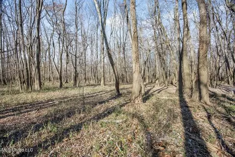 1 Rodney Bend Rd, Lorman, MS 39096 photo 8