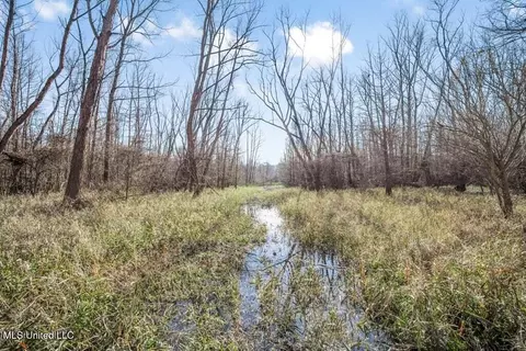 1 Rodney Bend Rd, Lorman, MS 39096 photo 4