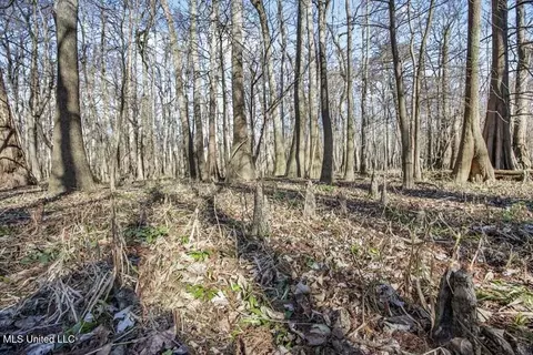 1 Rodney Bend Rd, Lorman, MS 39096 photo 9