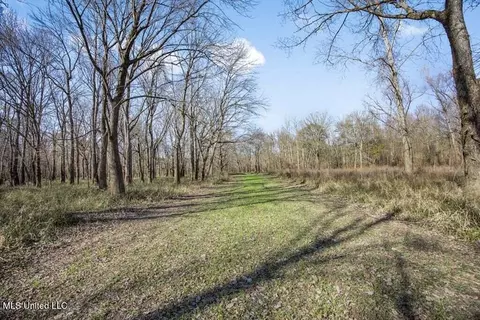 1 Rodney Bend Rd, Lorman, MS 39096 photo 7