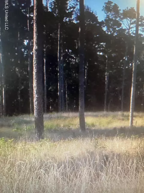 lot47 Apollo Way, Canton, MS 39046
