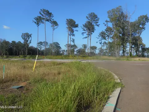 lot47 Apollo Way, Canton, MS 39046 photo 4