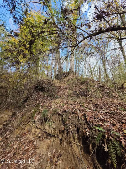 Tate Road, Natchez, MS 39120 photo 53