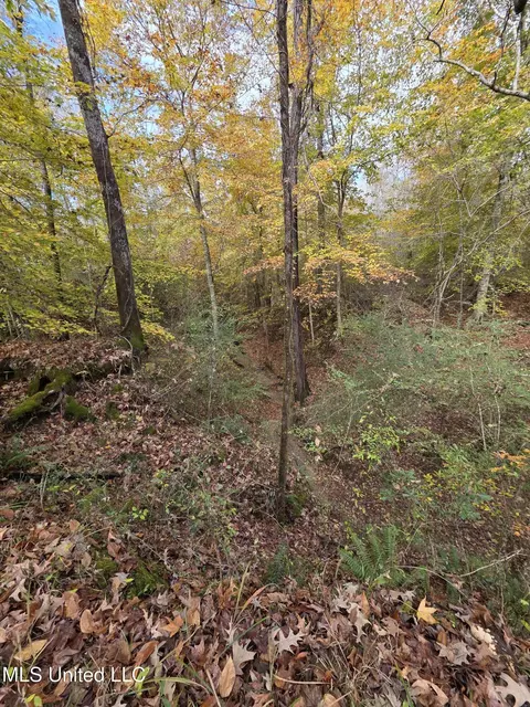 Tate Road, Natchez, MS 39120 photo 48