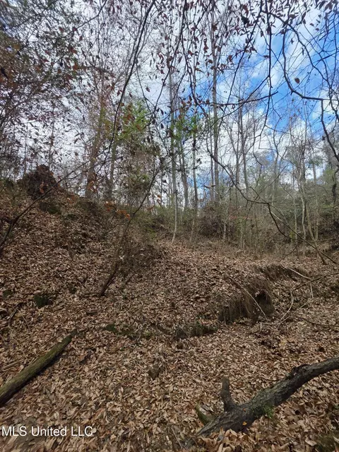 Tate Road, Natchez, MS 39120 photo 67