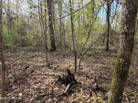 Tate Road, Natchez, MS 39120 photo 65