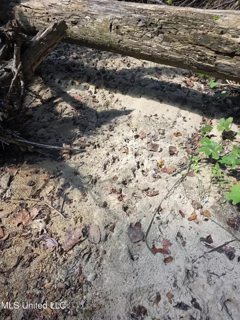 Tate Road, Natchez, MS 39120 photo 24