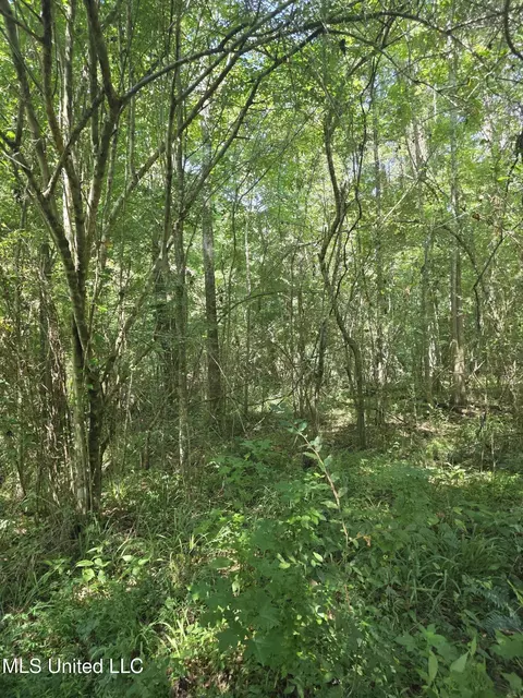 Tate Road, Natchez, MS 39120 photo 29