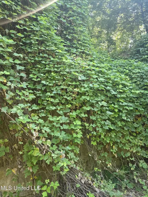 Tate Road, Natchez, MS 39120 photo 21